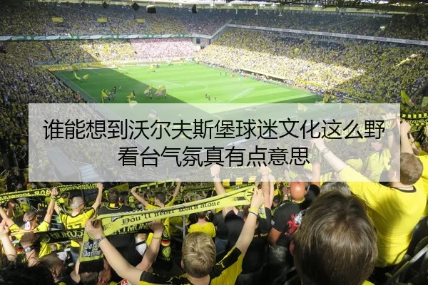 谁能想到沃尔夫斯堡球迷文化这么野 看台气氛真有点意思