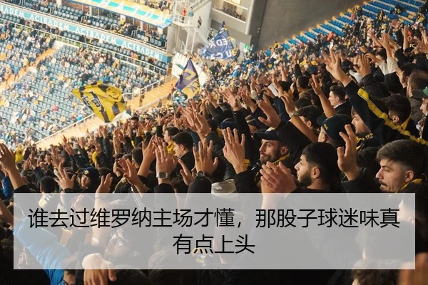 谁去过维罗纳主场才懂，那股子球迷味真有点上头