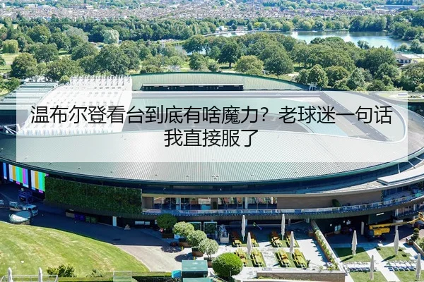 温布尔登看台到底有啥魔力？老球迷一句话我直接服了