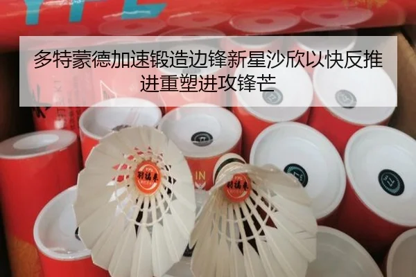 多特蒙德加速锻造边锋新星沙欣以快反推进重塑进攻锋芒